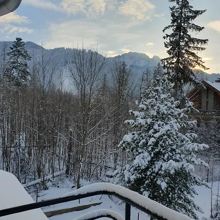 Homestay szállás Asteria *